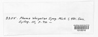 Phoma weigeliae image